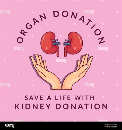 Kidney Donation Video at Jean Begaye blog