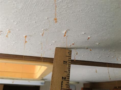 How To Prevent Mold Spots On Bathroom Ceiling at Joshua Mayes blog