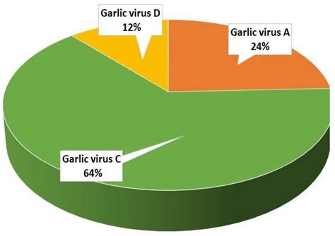 Pathogen Eradication in Garlic in the Phytobiome Context: Should We Aim ...