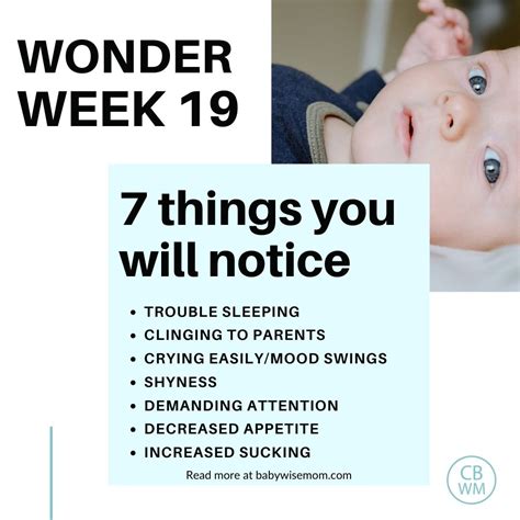 Everything You Need To Know About Wonder Week 19 - Babywise Mom