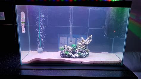 First tank 25 Gallon tank - advice with what I need to add : r/Aquariums