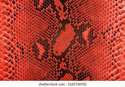 Image result for Python Red RGB