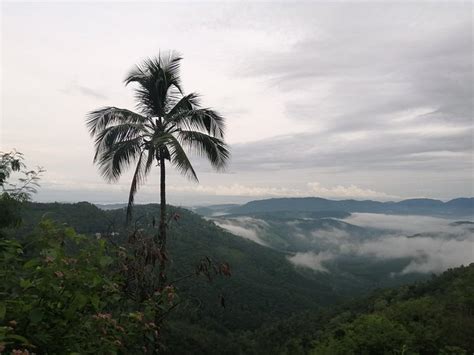 BIGLAND DEW CASTLE (Kuttikkanam, Kerala) - Lodge Reviews & Photos ...