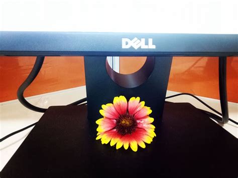 IDP Education Office Photos