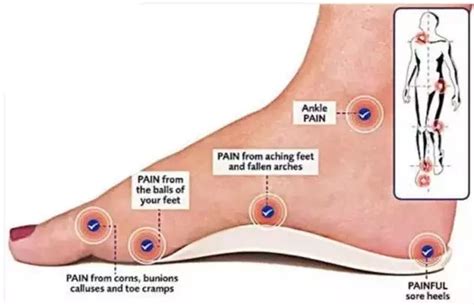 两边脚底的盆部反射区疼是怎么回事-脚底反射区某部位疼是什么意思