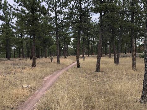 Heil Valley Ranch Trail - Colorado | AllTrails