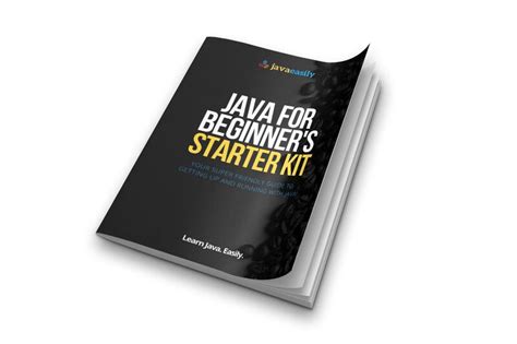Beginners Guide On Java 的图像结果