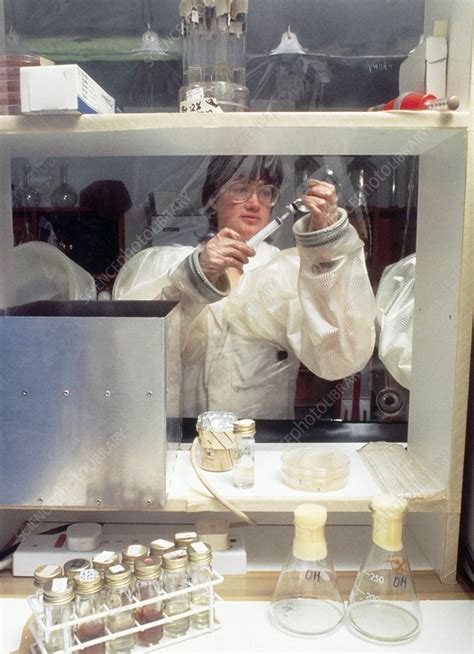 Biotechnology Bacteria 的图像结果