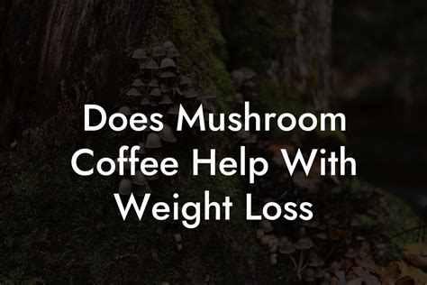 Does Mushroom Coffee Help With Weight Loss - Mr Mushroom
