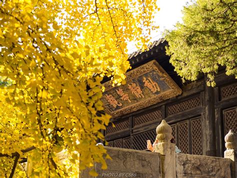 宜兴大觉寺攻略,宜兴大觉寺门票/游玩攻略/地址/图片/门票价格【携程攻略】