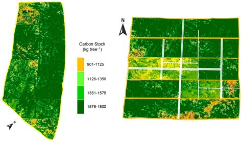Carbon Stock Mapping Utilizing Accumulated Volume of Sequestrated Carbon at Bangladesh ... - map of bangladesh agricultural university