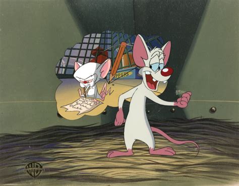 Pinky And The Brain Cartoon Characters