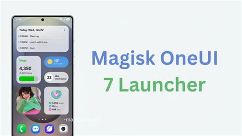 Image result for One UI Magisk Module