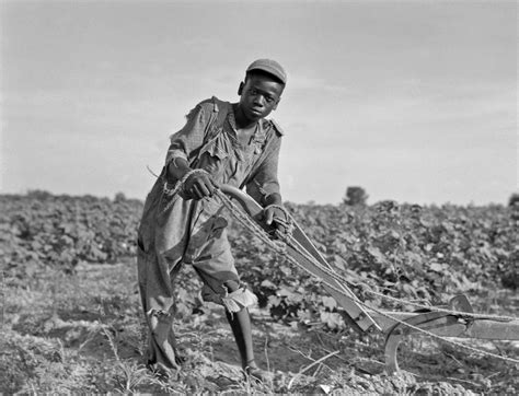History in Photos: Dorothea Lange - Sharecroppers | African american ...