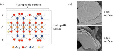 Study on the Flotation Behavior of CMS-Na for Talc with Different ...