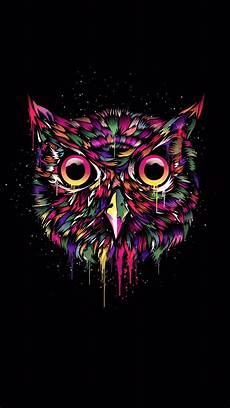 Black Owl Wallpaper Iphone by Owl Wallpaper For Iphone X 8 7 6 Free On Black Owl Wallpaper Iphone