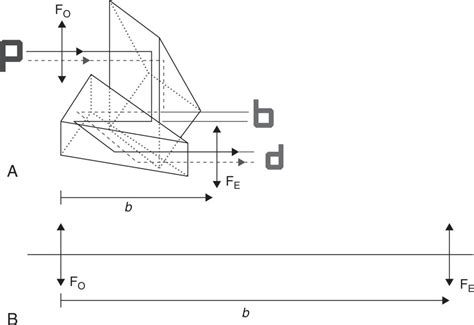 Image result for Angular Magnification of Microscope
