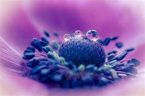 Image result for Java Code Thumnail