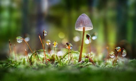 Best High Resolution Desktop Backgrounds 的图像结果