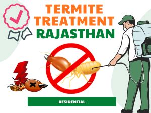 Termite Treatment in Jaipur, Jodhpur and Udaipur by Experts of PestGuard