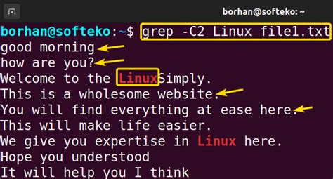 Image result for Grep Command Use in Linux