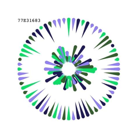 Image result for Vision Code