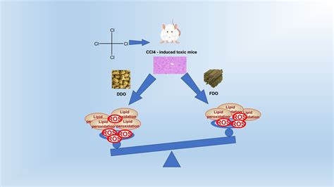 Comparison of the Antioxidant Activities and Polysaccharide ...