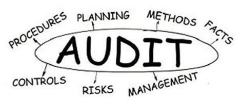 Single window Audit services | Riskpro India - Connect with Risk ...