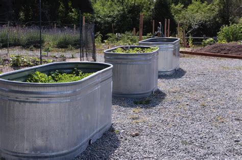 Metal Water Trough Gardening How To Make Galvanized Planters: A Simple