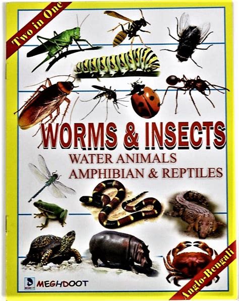 Worms & Insects - A book for early learning in English and Bengali ...