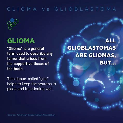 Ivy Brain Tumor Center on LinkedIn: What's the difference between a Glioma vs. Glioblastoma? We ...