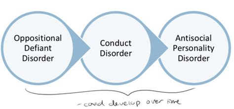 Image result for Classification System Flashcards
