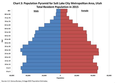America's Age Profile Told through Population Pyramids