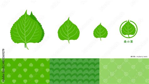 Image result for Un Sample Script