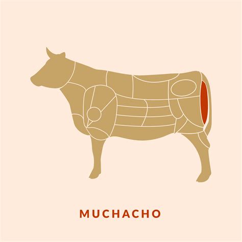 MUCHACHO DE RES - Carnes Manzanares