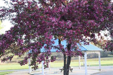 Ipswich River Park, North Reading Massachusetts