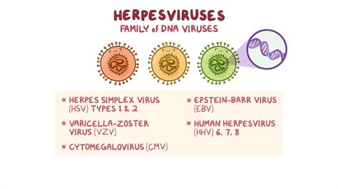 Antivirals for HSV - Osmosis Video Library