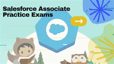 Image result for Salesforce Associate Practice Exam