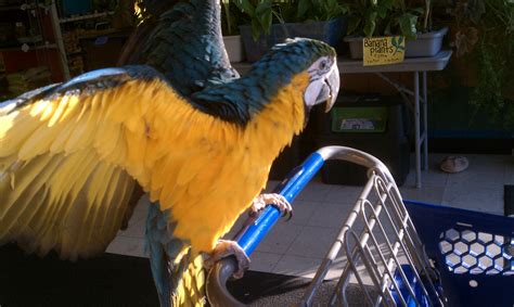 Pet World in Action! - Pet World Experience - Lawrence, KS