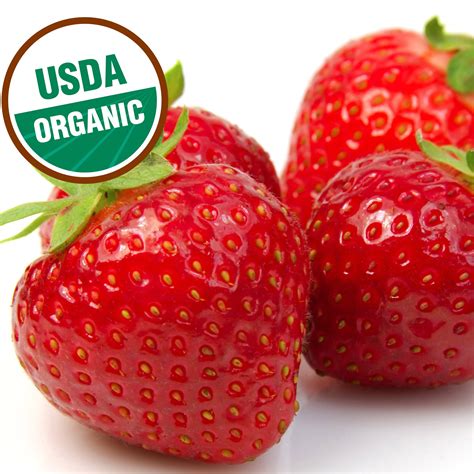 How Many Strawberries In A 2 Lb Container at Ryan Hannum blog