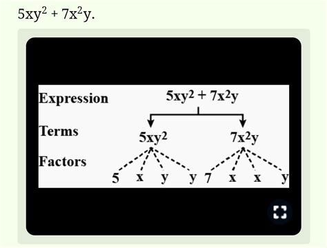identify the terms and their factors in the following expression 3pqr ...
