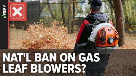 States and towns consider banning gas-powered leaf blowers and lawn mowers Background