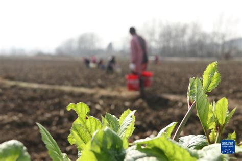 关系粮食安全这事马虎不得，天全县精准监督护航春耕备耕_四川在线