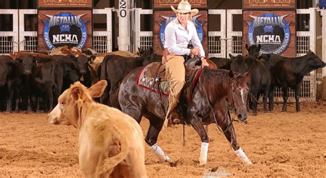 Patton Family Scores Win in Show Pen Debut – Rocking P Ranch