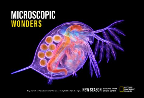 National Geographic Channel – Visual Communication