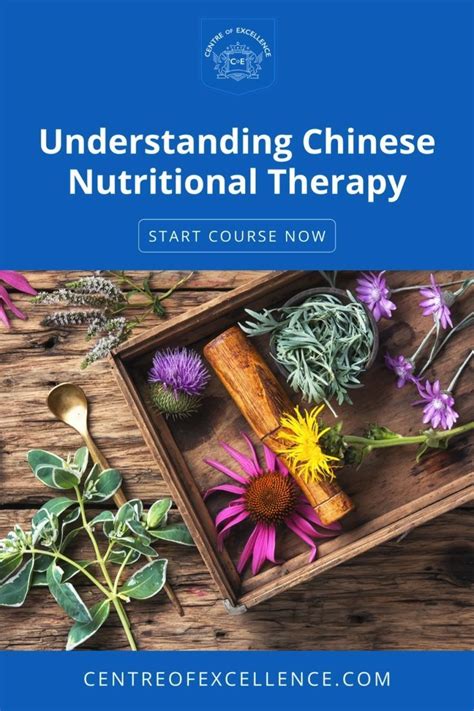 nutritional therapy course