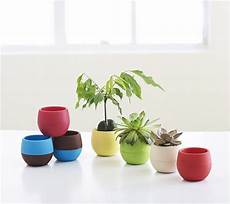 ingrosso vasi plastica acquista all ingrosso vasi di plastica di vivai da ingrosso vasi plastica acquista all ingrosso vasi di plastica di vivai da