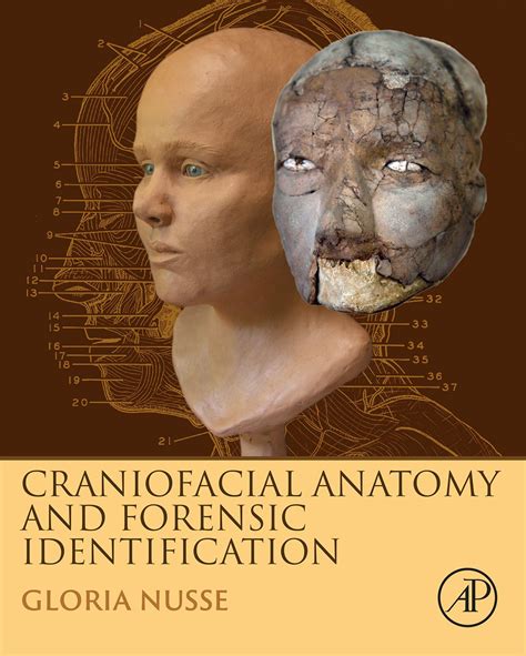 Guatemala Paula Loves to Read: Virtual Book Tour & Giveaway: Craniofacial Anatomy and Forensic ... - Photos of the Anatomy