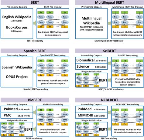 Bert Mask Task Pre Training Model 的图像结果