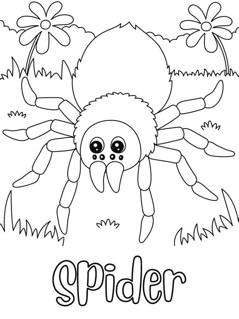 Spider Coloring Page